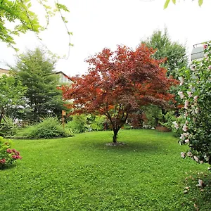 Appartement Nigler, Innsbruck